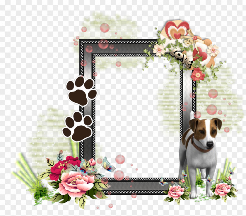 PHOTO FRAMES Picture Frames Jack Russell Terrier PNG