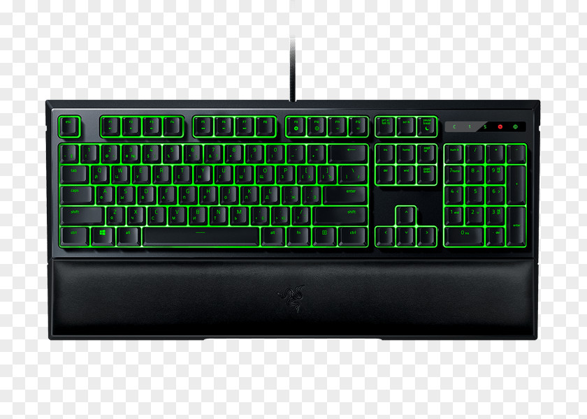 Scopula Ornata Computer Keyboard Razer BlackWidow Ultimate (2016) Backlight Inc. Chroma PNG