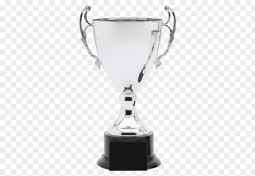 Silver Trophy Loving Cup Award PNG