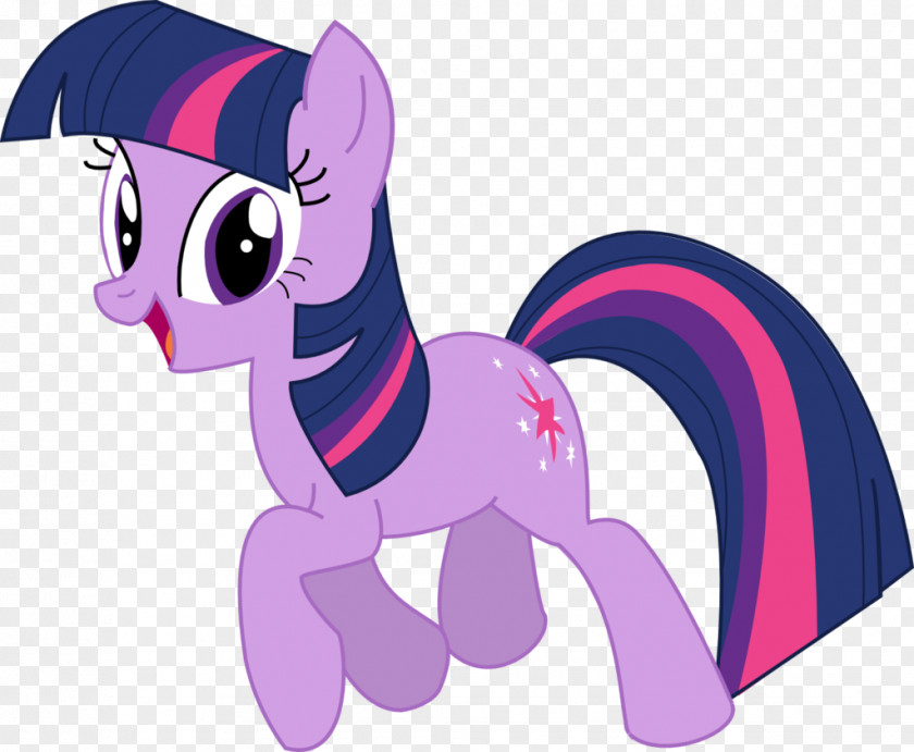 Twilight Sparkle Pinkie Pie Pony Rainbow Dash Rarity PNG
