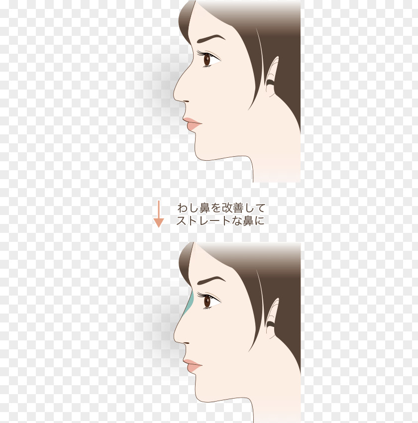 Ear Cheek Eyebrow Lip Chin PNG