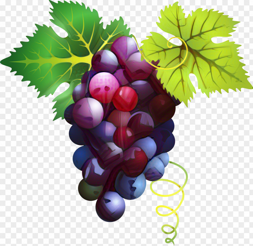Flower Grape Seed Extract Leaves Background PNG