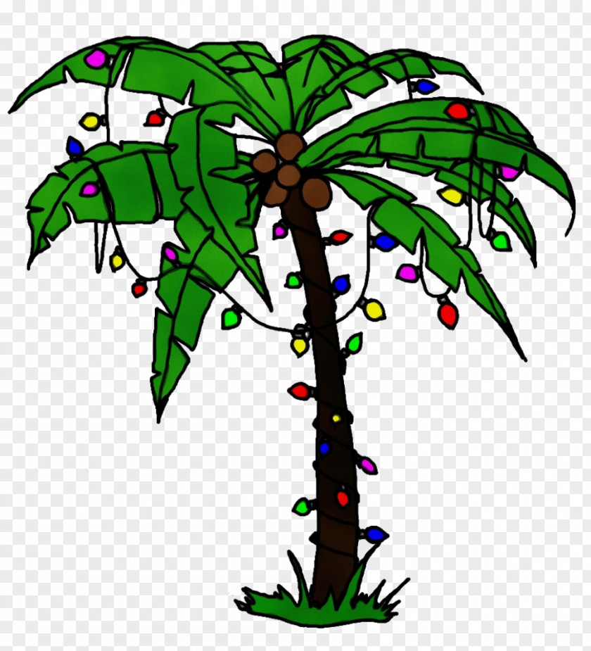 Plant Stem Flowerpot Palm Tree PNG