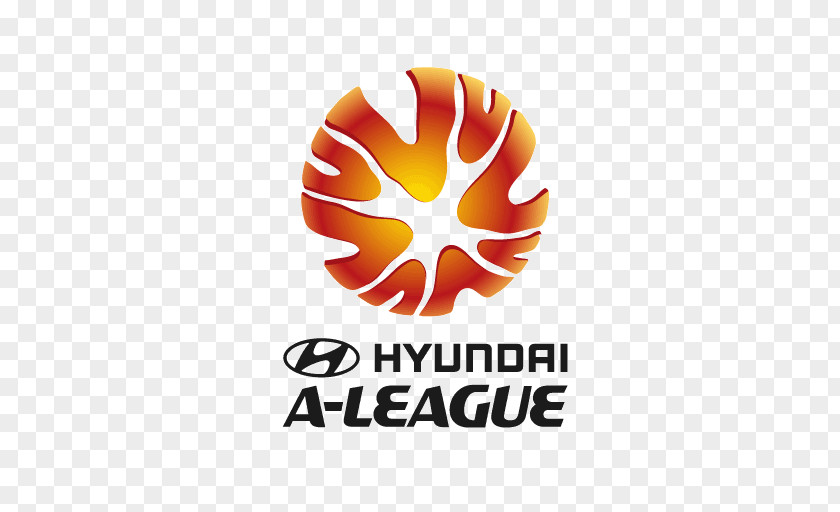 Premier League W-League 2017–18 A-League English Football Sydney FC PNG