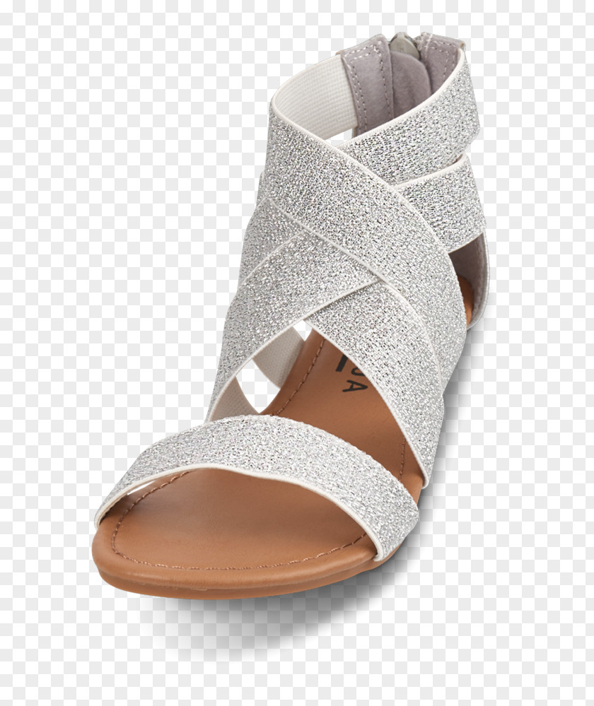 Sandal Shoe PNG