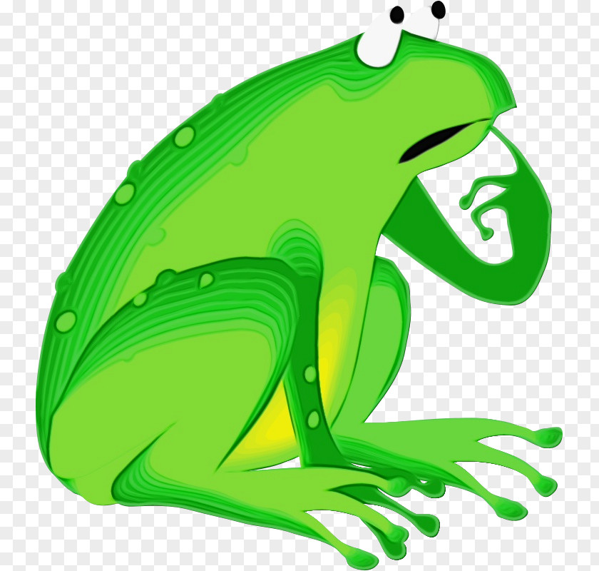 Shrub Frog Gray Treefrog Green Hyla Tree PNG