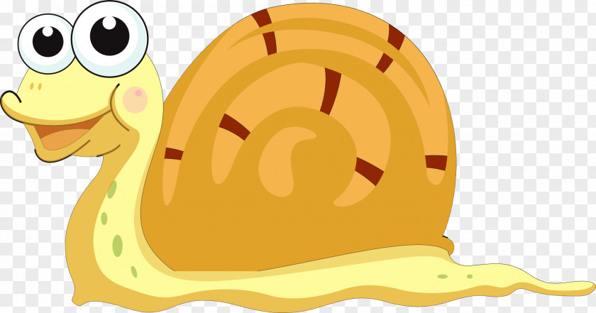 Snail Clip Art PNG