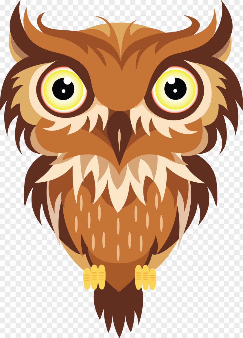 Vector Owl PNG