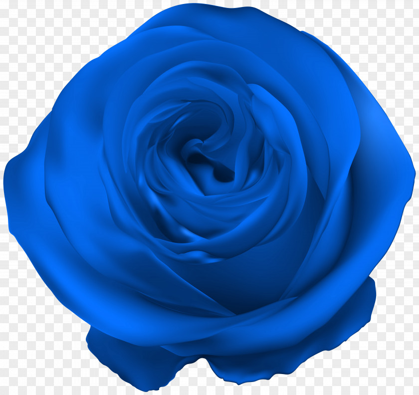 Blue Rose Clip Art Royal PNG