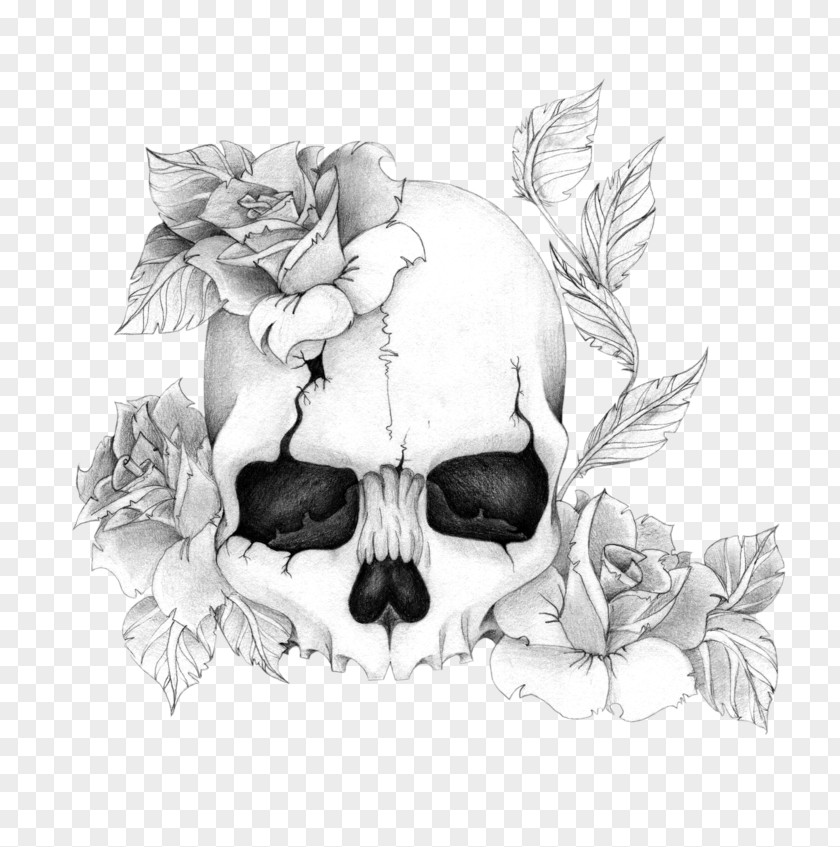 Rose Human Skull Symbolism Drawing Tattoo PNG