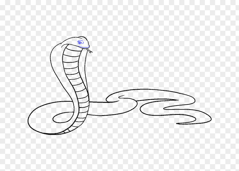 Snake King Cobra Drawing Clip Art PNG