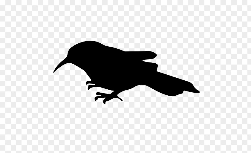 Sparrow Silhouette Bird Icon PNG