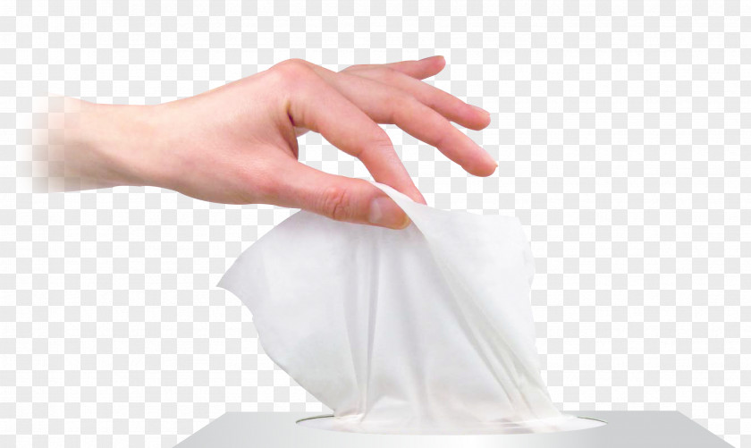 Toilet Paper Cloth Napkins Tissue Towel Thumb PNG