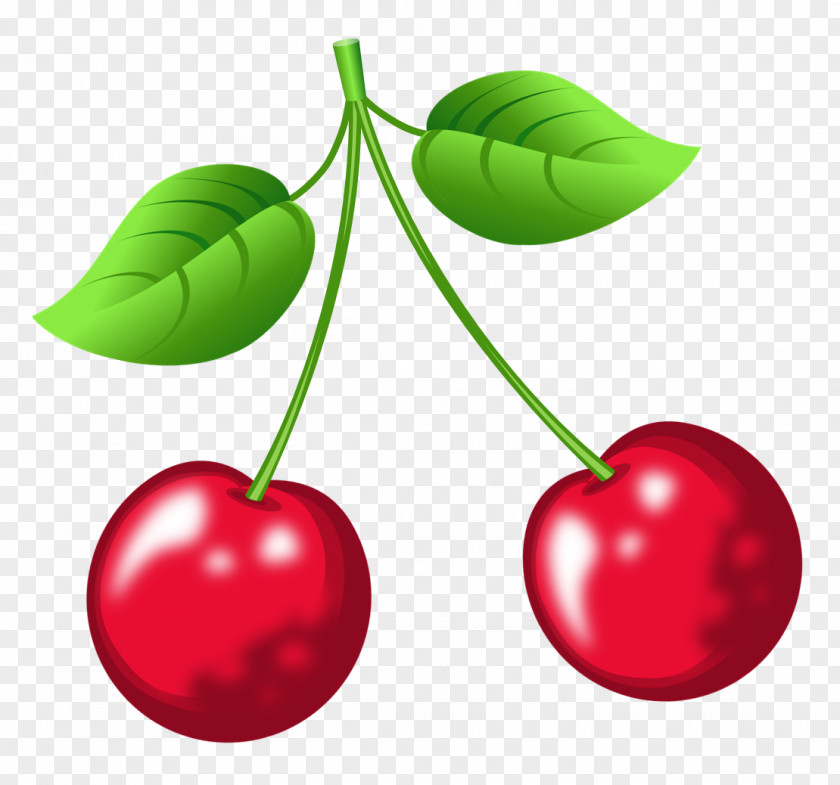 Authors Illustration Cherries Author Krasnodar Food PNG