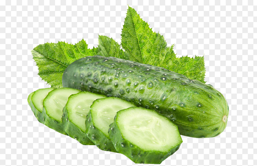 Green Cucumber Vegetable Pickled Slicing Fruit PNG