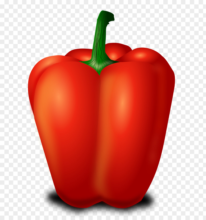 Habanero Cliparts Vegetable Fruit Free Content Food Clip Art PNG