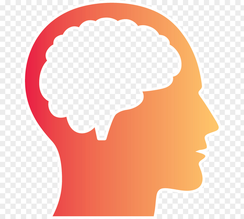 Knowledge Brain Human Behavior Clip Art Nose Forehead PNG