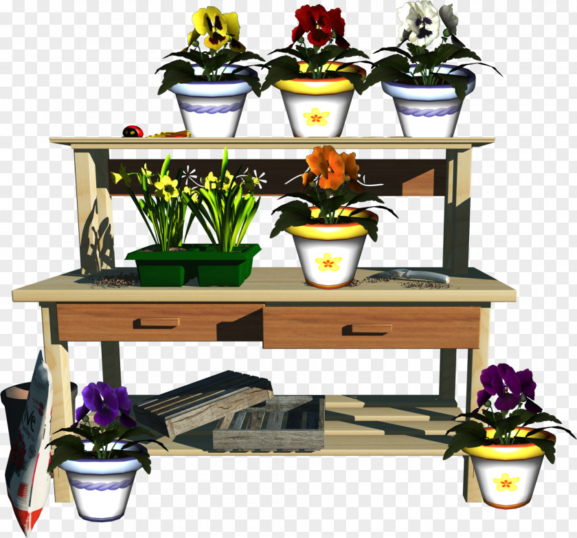 Plant Herbaceous Pansy Clip Art PNG