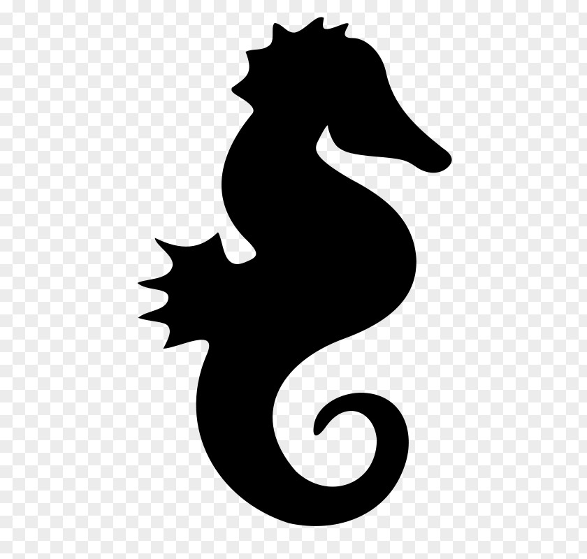 Seahorse Silhouette Clip Art PNG