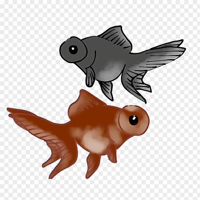 Beak Birds Goldfish Fish Ray-finned Fishes PNG