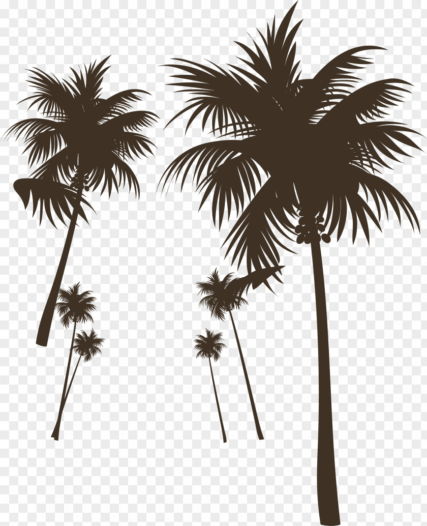 Coconut Tree Poster Waiting For The Summer (Club Mix) Deepend Song Lyrics PNG