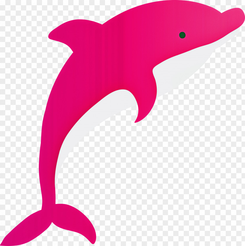 Dolphin Bottlenose Pink Cetacea Fin PNG