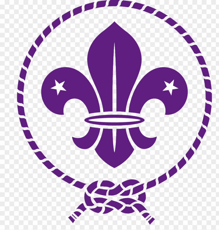 Internationaal Volkssportverband Scouting For Boys World Scout Emblem Organization Of The Movement Boy Scouts America PNG