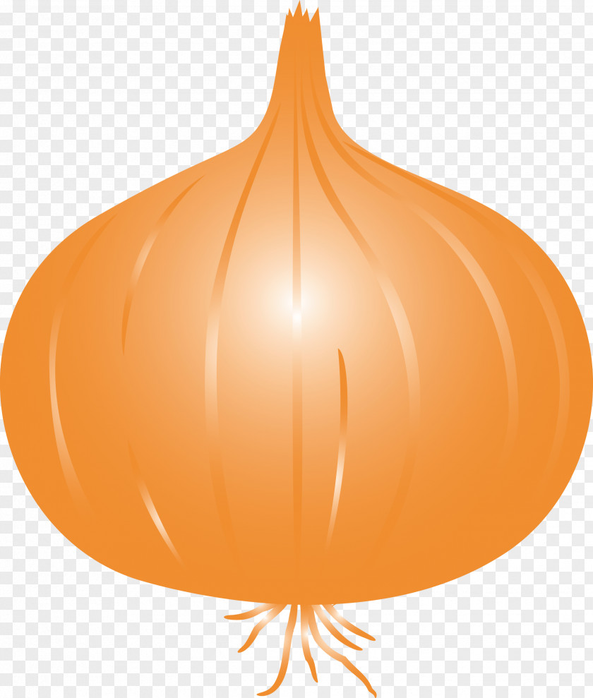 Onion PNG