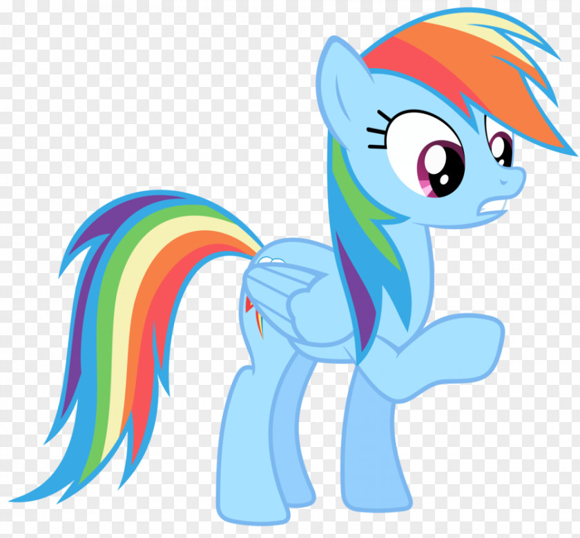 Sorry Rainbow Dash Rarity Applejack Twilight Sparkle Pinkie Pie PNG