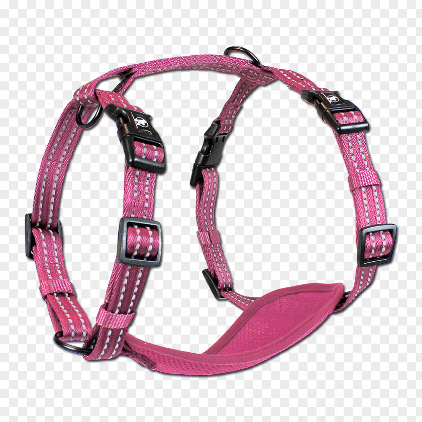 Dog Harness Collar Leash PNG