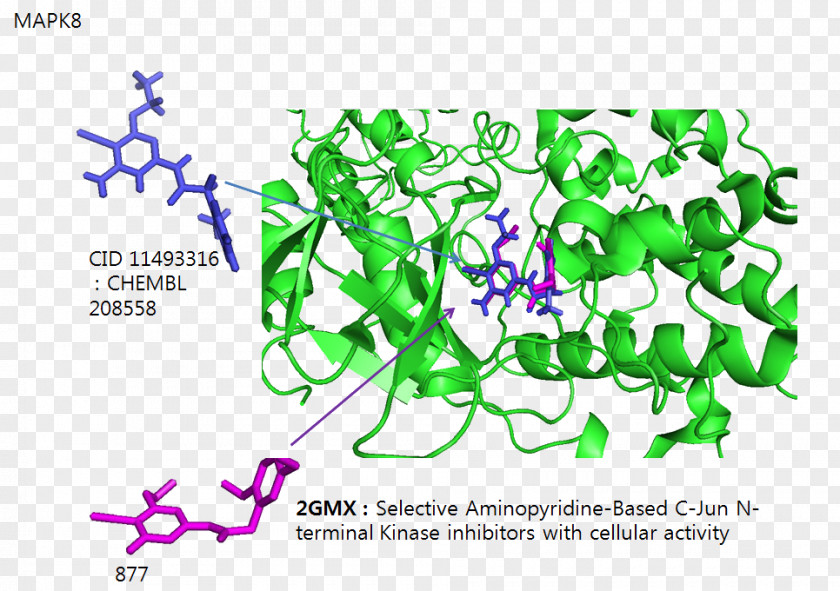 Isomerization Prolyl Isomerase Mitogen-activated Protein Kinase Cis–trans Isomerism C-Jun N-terminal Kinases PNG
