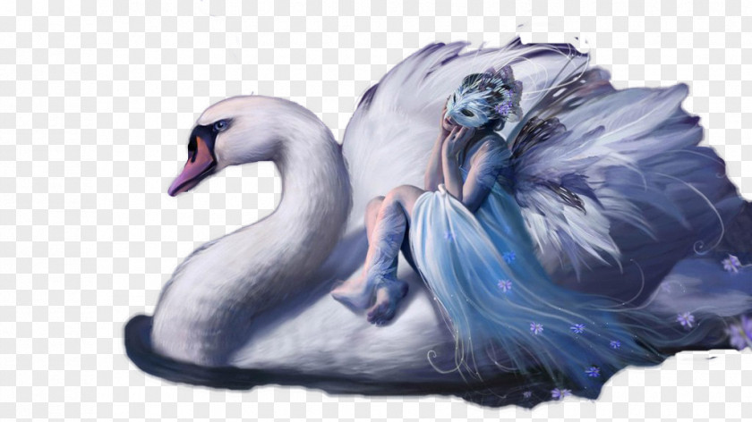 Swan And Beauty Fairy Animation High-definition Television Wallpaper PNG