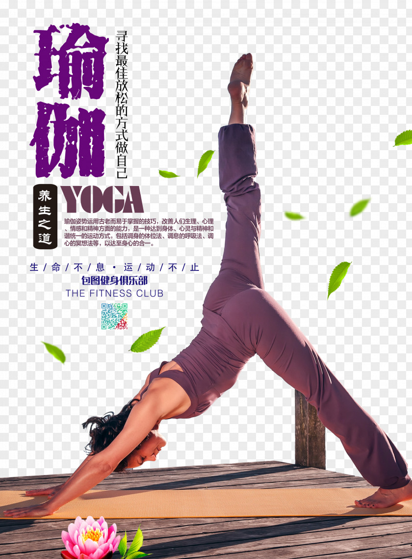 Yoga Hatha Poster Vinyāsa Fitness Centre PNG