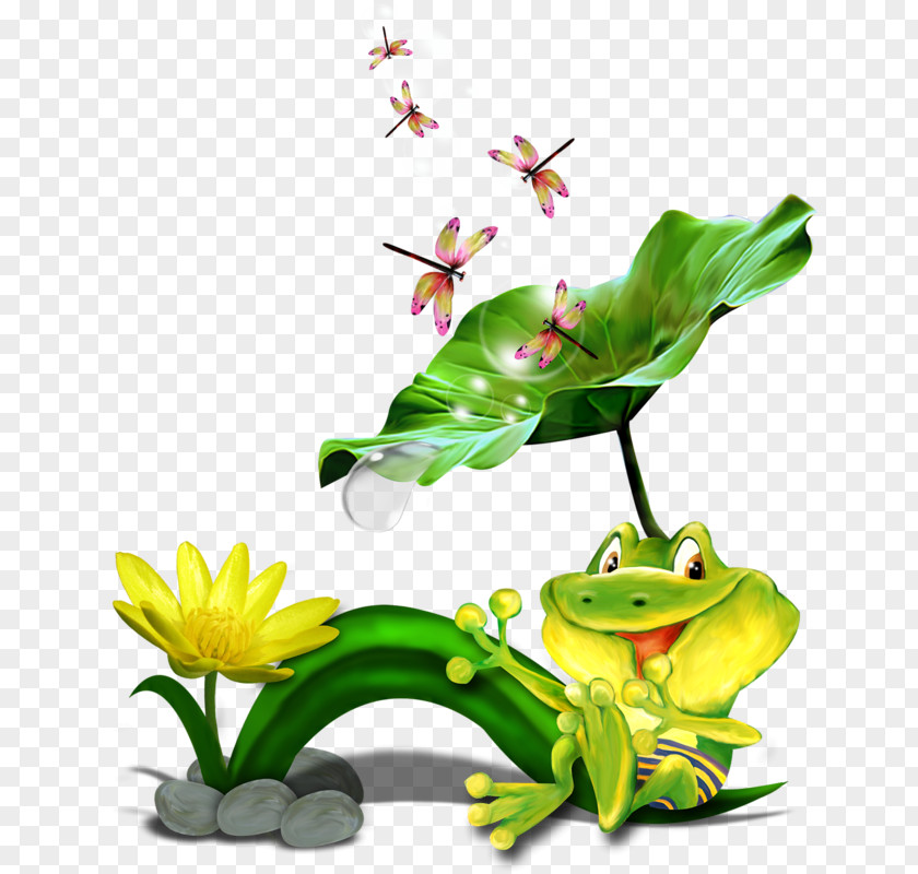 Grenouille Tree Frog True Clip Art PNG
