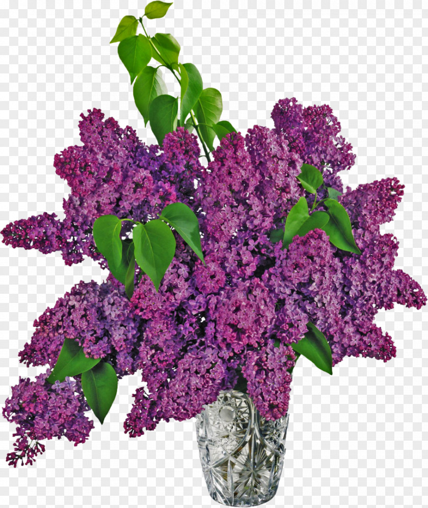 Lilac Common Vase Clip Art PNG