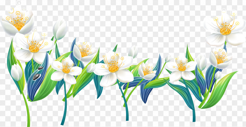 Lily Pictures Flower Clip Art PNG