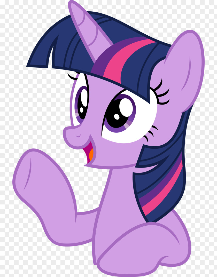 My Little Pony Twilight Sparkle Rainbow Dash Rarity Pinkie Pie Applejack PNG