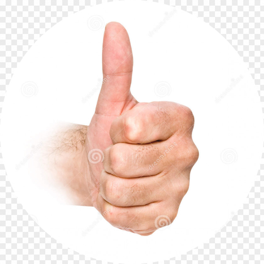 Yes Gesture Body Language Word Sign Thumb PNG