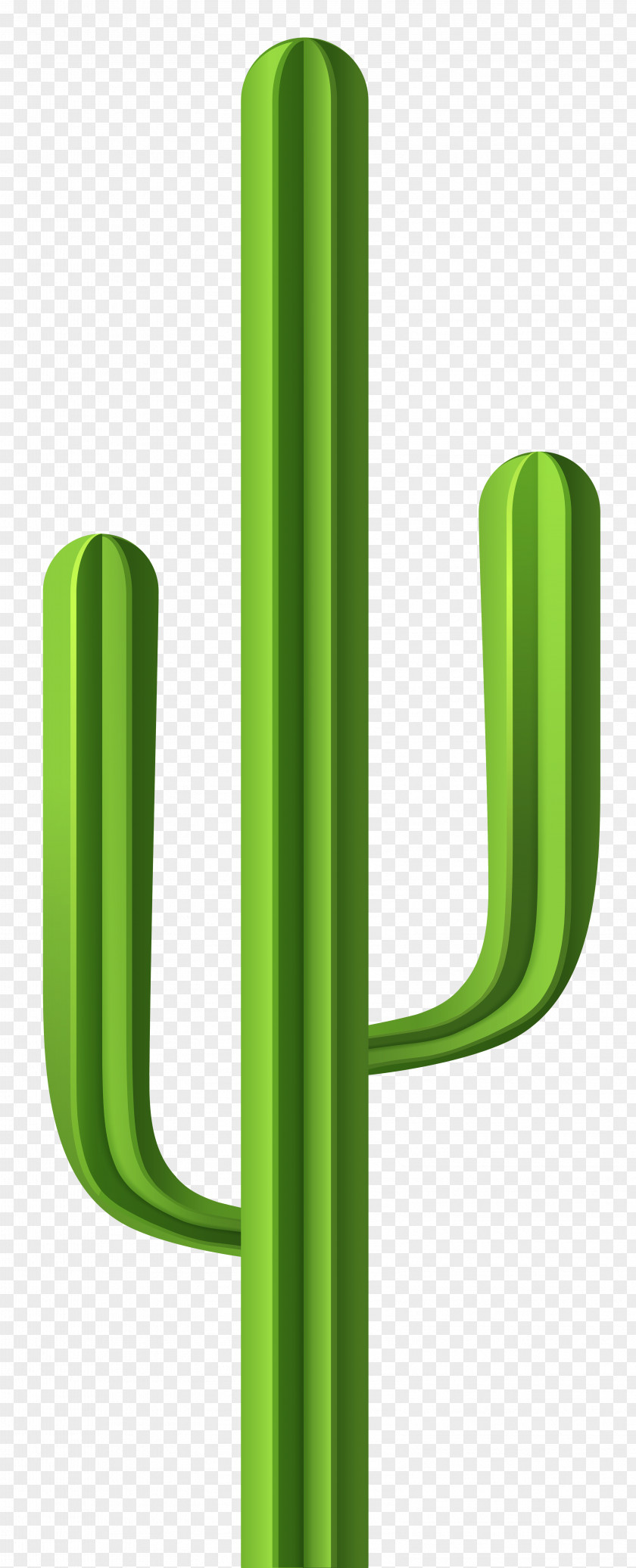 Cactus Clip Art Image Cactaceae PNG