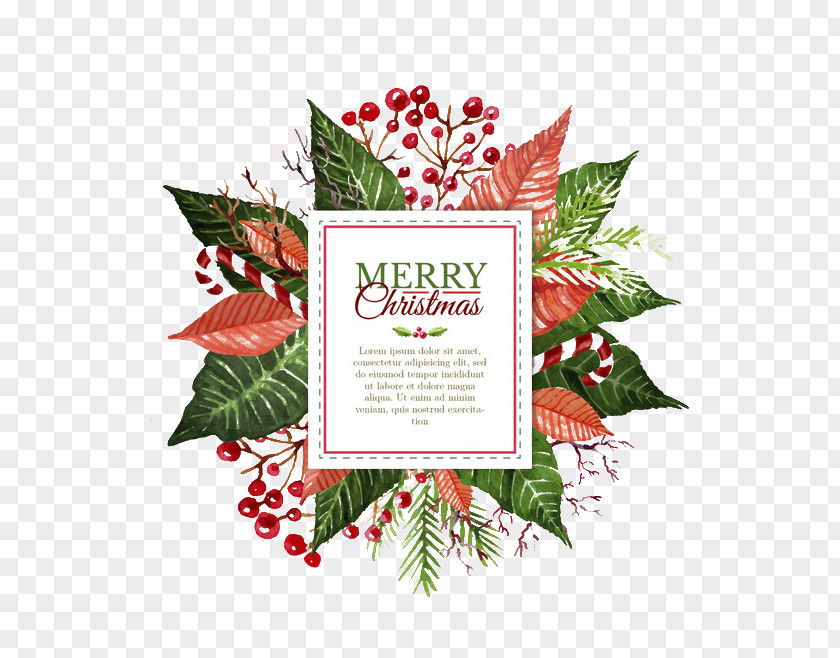 Christmas Card Poinsettia Flower PNG