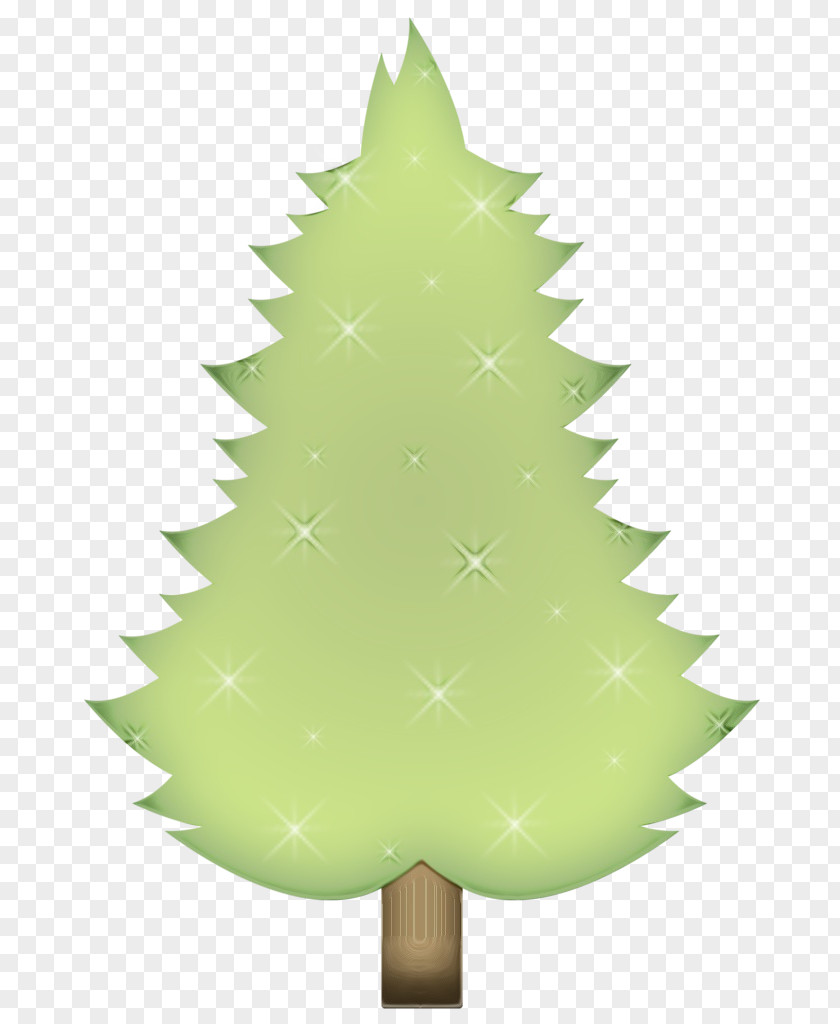Cypress Family White Pine Christmas Lights PNG