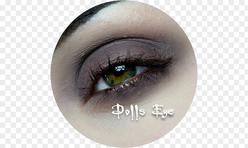 Eye Iris Brown Color Notoriously Morbid PNG