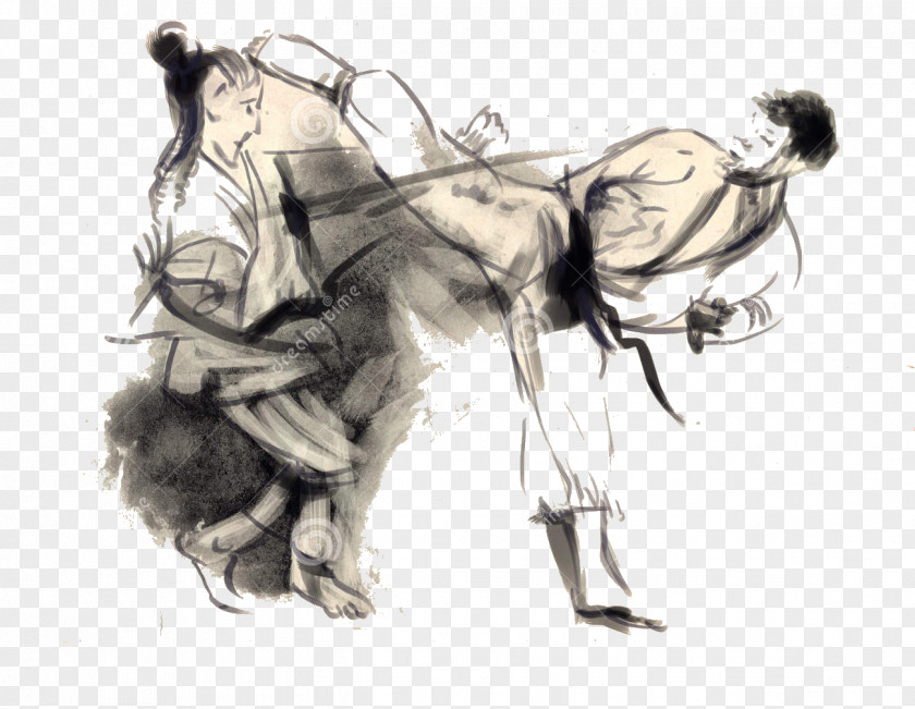 Fight Karate Martial Arts Euclidean Vector Illustration PNG