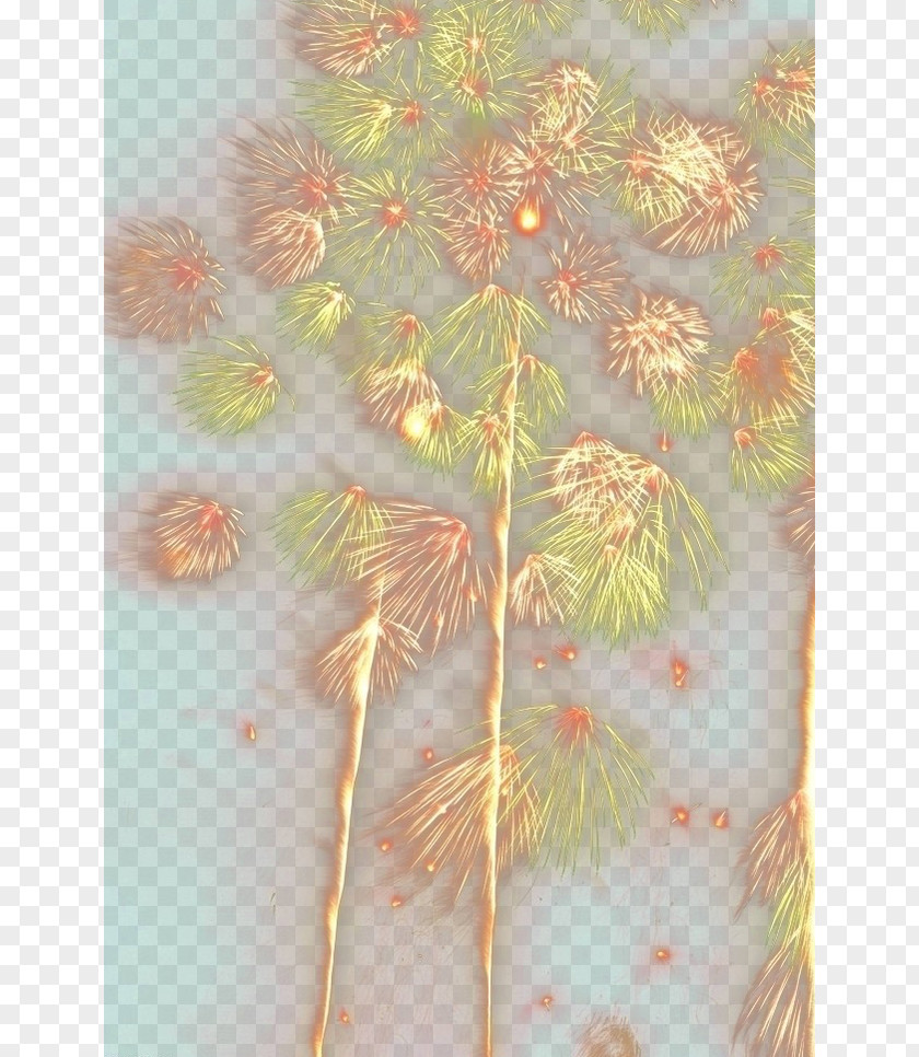 Fireworks Petal Floral Design Leaf Pattern PNG
