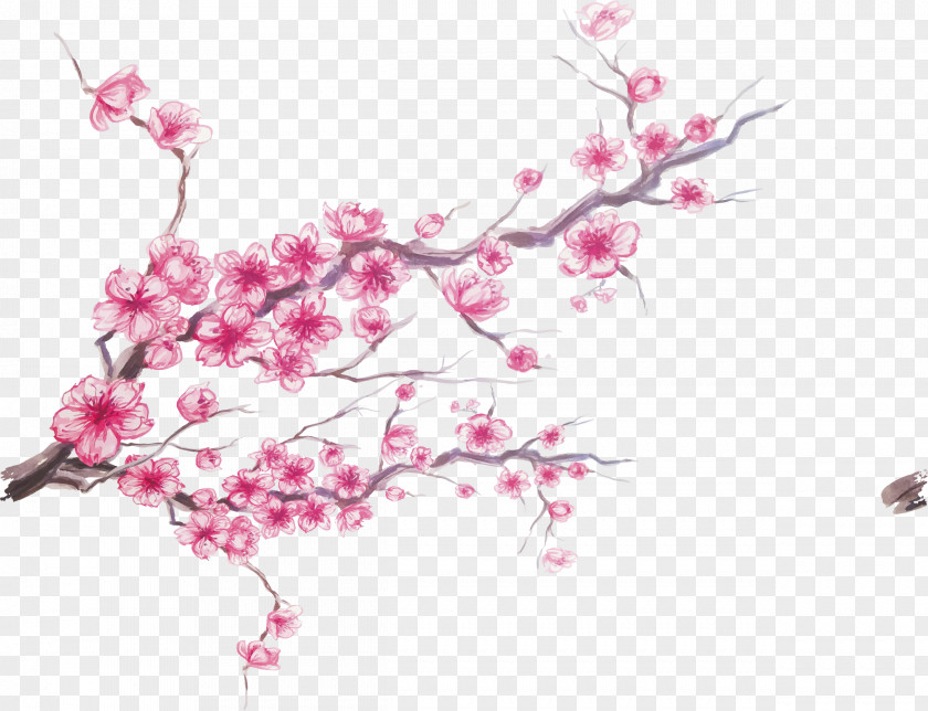 Ink Cherry Blossoms Blossom PNG