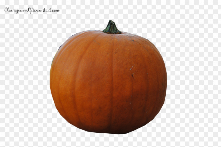 Pumpkin Calabaza Cucurbita Winter Squash Gourd PNG