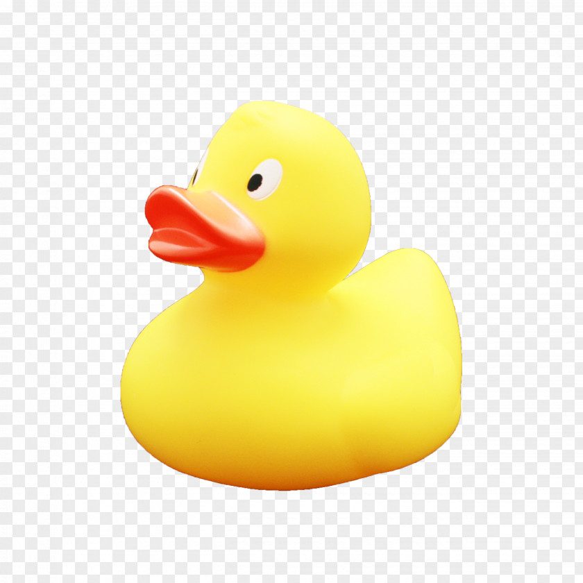 Rubber Duck Toy PNG