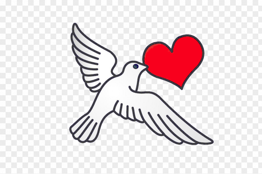 Symbol Holy Spirit Heart Love Beak PNG