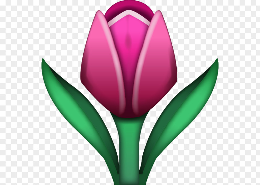 Tulip Emoji Sticker IPhone Text Messaging SMS PNG