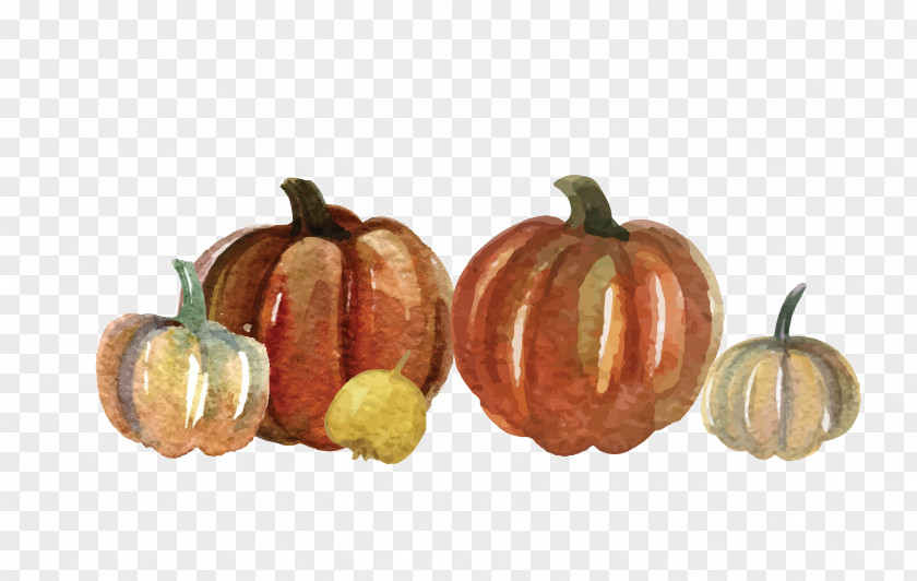 Vector Color Hand Painted Pumpkin Vegetables Great Turkey Watercolor Painting PNG
